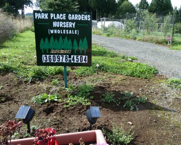 Nursery Entrance in Summer